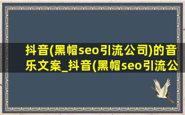抖音(黑帽seo引流公司)的音乐文案_抖音(黑帽seo引流公司)的音乐排行榜 第一名